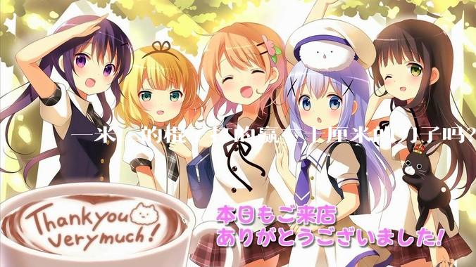 一米二的棍子打的赢三十厘米的刀子吗？